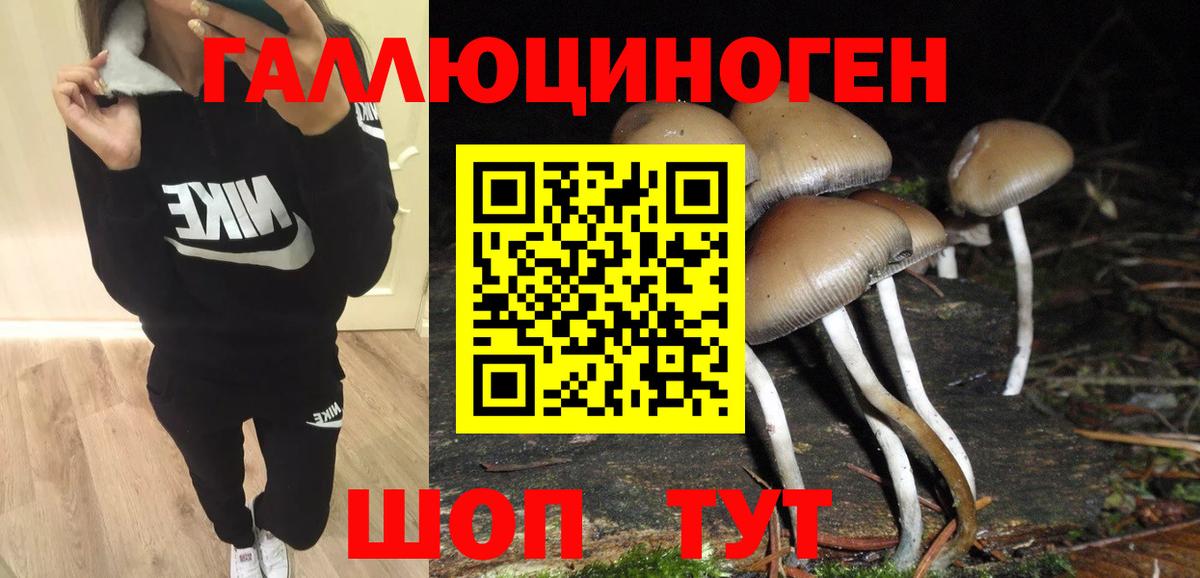 Псилоцибиновые грибы прущие грибы Миллерово