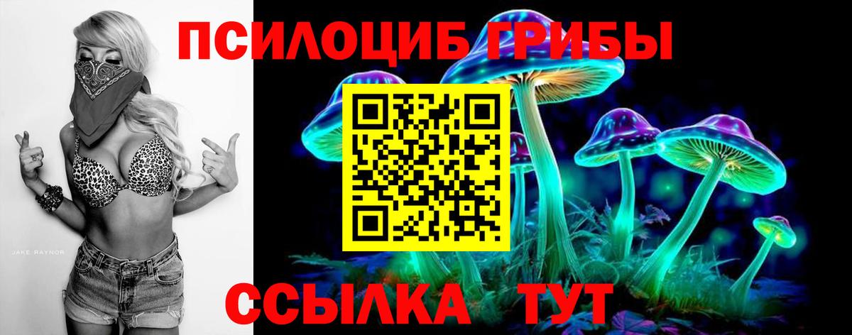Миллерово  купить наркотики цена  Вход с VPN  Галлюциногенные грибы мухоморы  Псилоцибиновые грибы MAGIC MUSHROOMS 